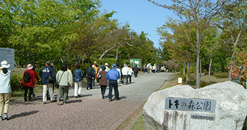 Toki Forest Park