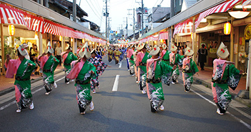 Ryotsu Ebisu Festival (6/16)